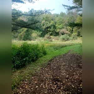 Meet your Posher, Alia